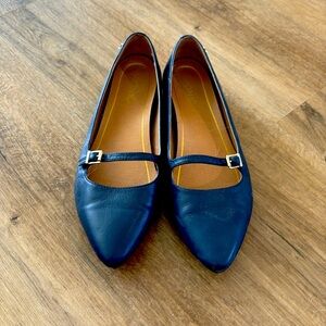 Vionic navy flats